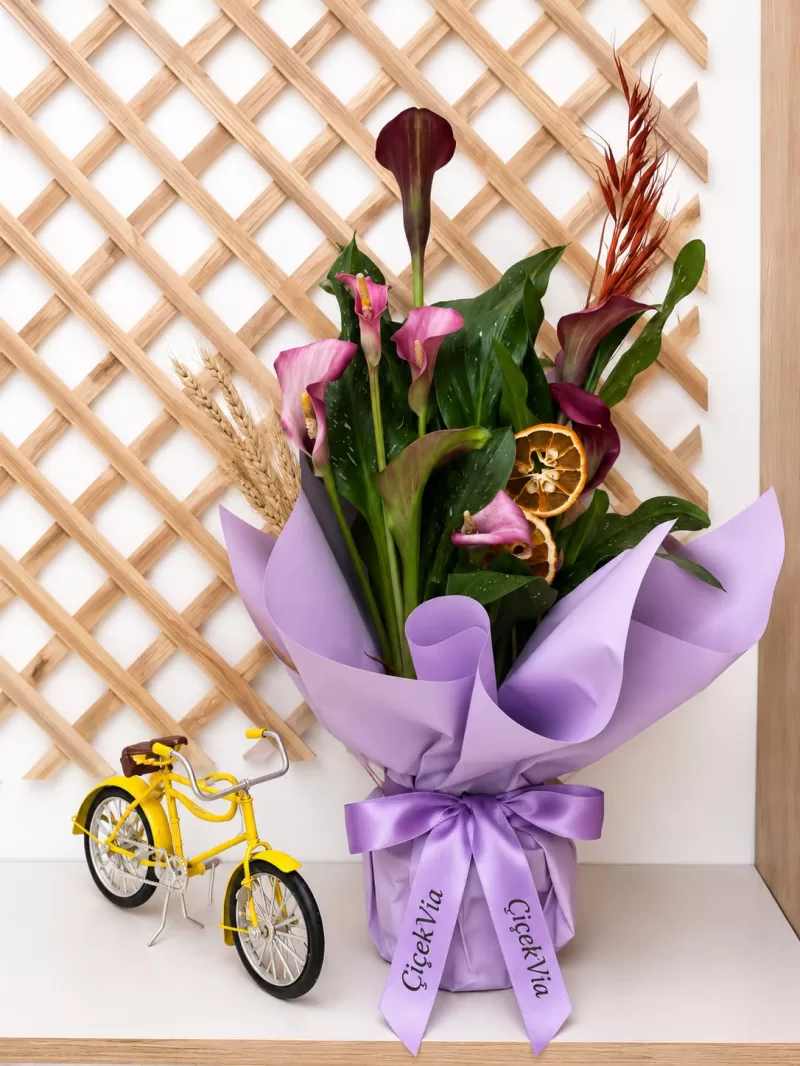 Hediye Paketli Gala Çiçeği Mor/Pembe