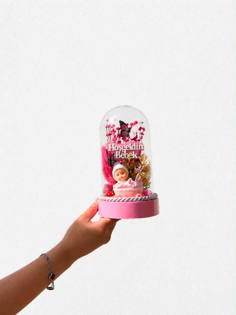 Hoşgeldin Bebek Mini Kız Tereryum Hediyesi