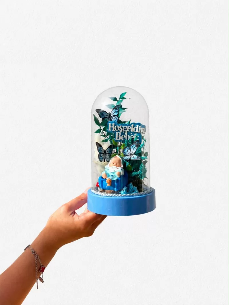 Hoşgeldin Bebek Mini Erkek Tereryum Hediyesi