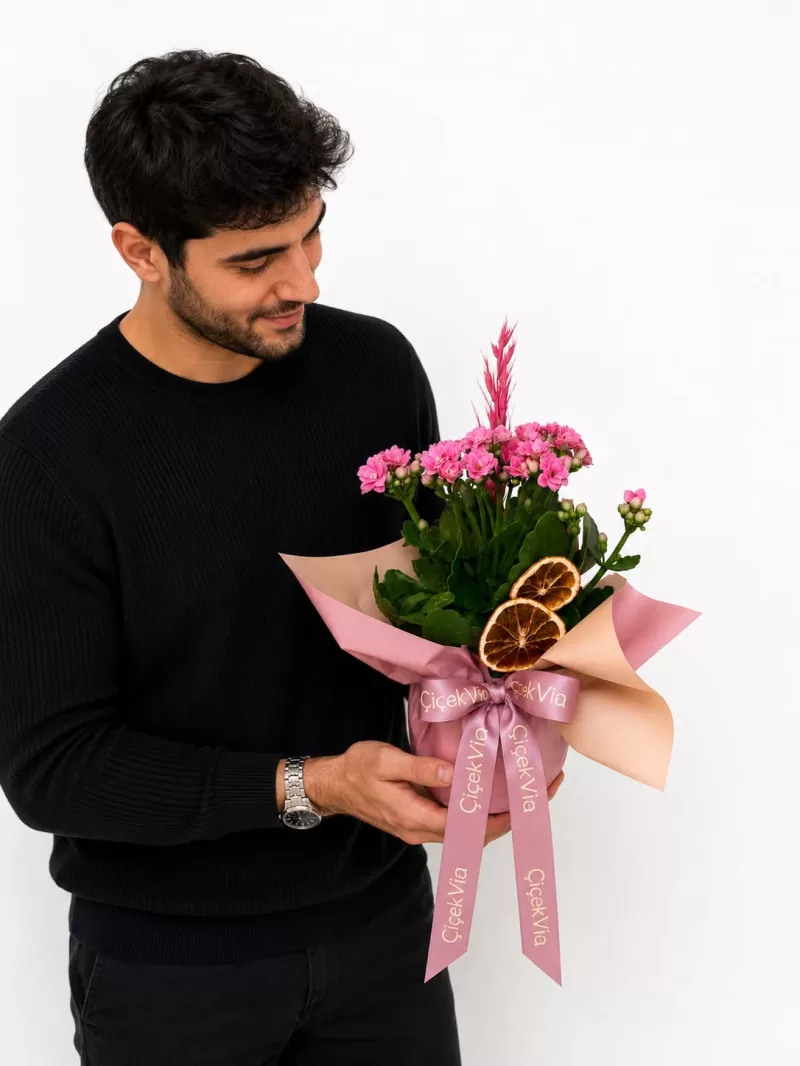 Pembe Kalanşo (Kalanchoe) Tasarım Saksı Çiçeği