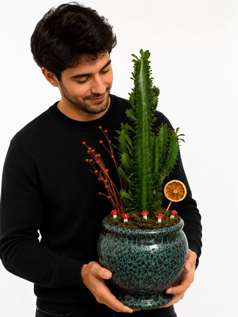 Euphorbia Trigona Kaktüs Aranjmanı