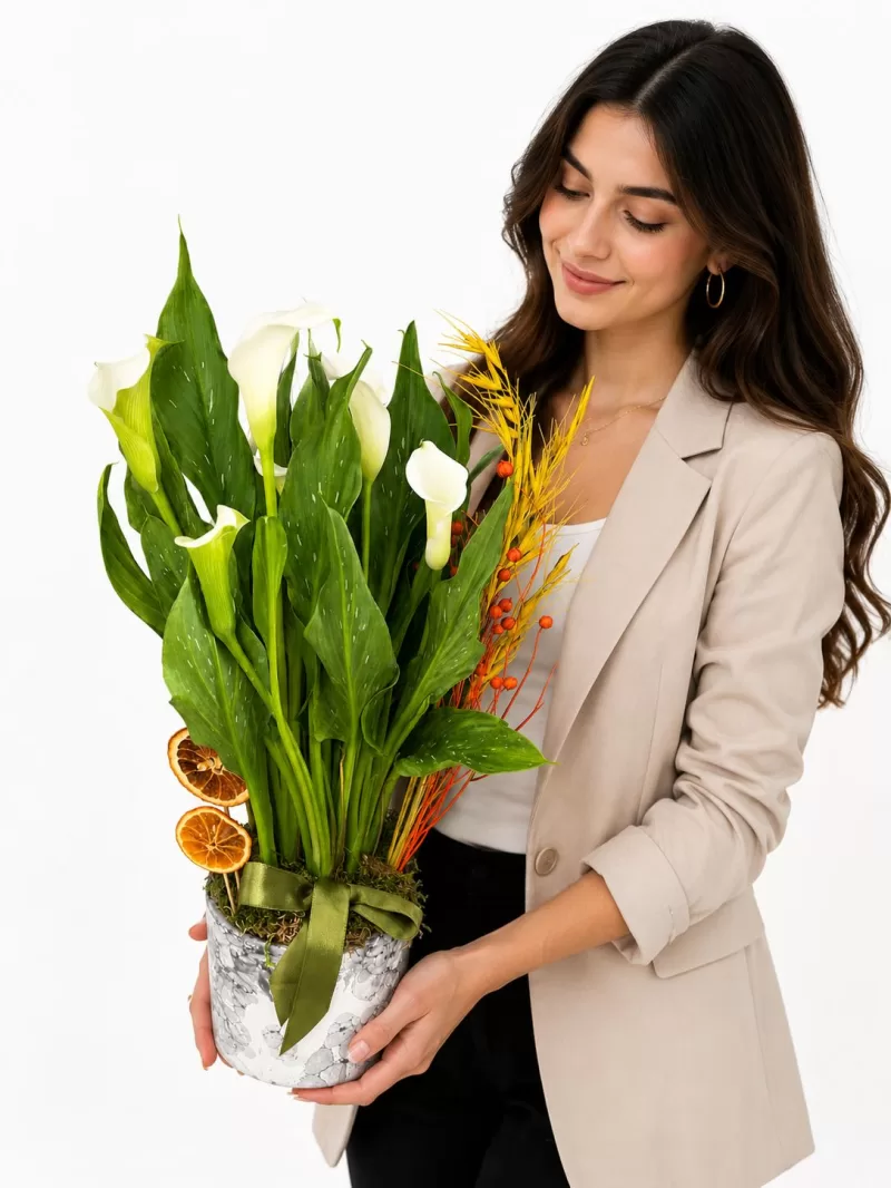 Premium Beyaz Gala (Calla Lily) Aranjmanı