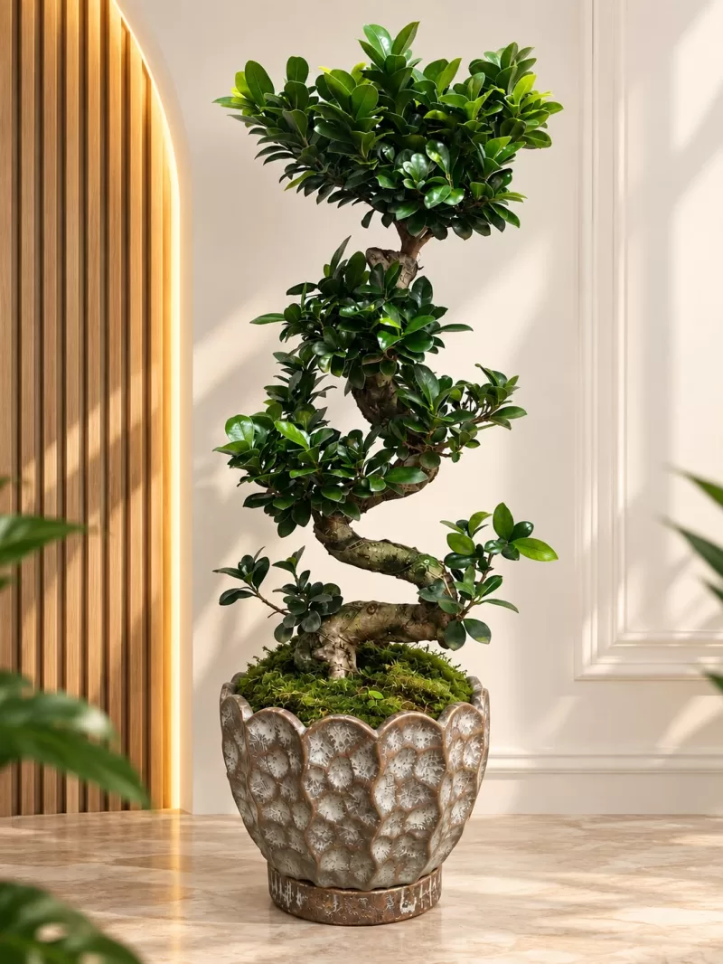 Dekoratif Seramik Saksıda Premium S Bonsai 85 Cm